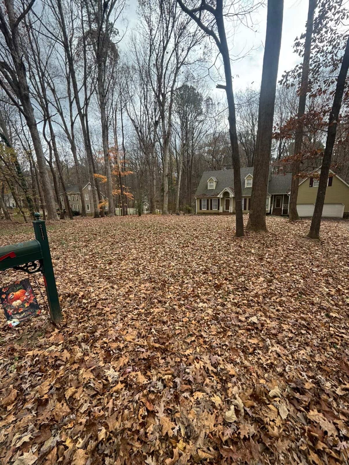 Premium Sod Installation
